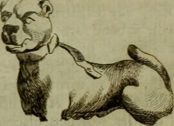 An illustration from Recueil d'antiquités égyptiennes, étrusques, greques et romaines, 1752, leaf 27