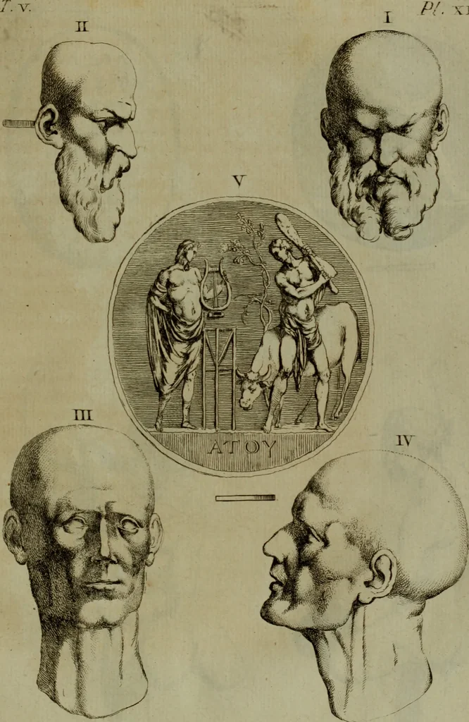 An illustration from Recueil d'antiquités égyptiennes, étrusques, greques et romaines, 1752, leaf 304