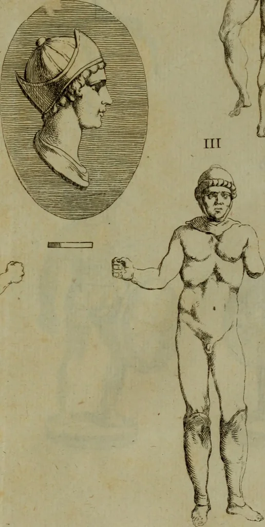 An illustration from Recueil d'antiquités égyptiennes, étrusques, greques et romaines, 1752, leaf 324
