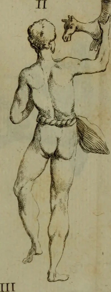 An illustration from Recueil d'antiquités égyptiennes, étrusques, greques et romaines, 1752, leaf 324