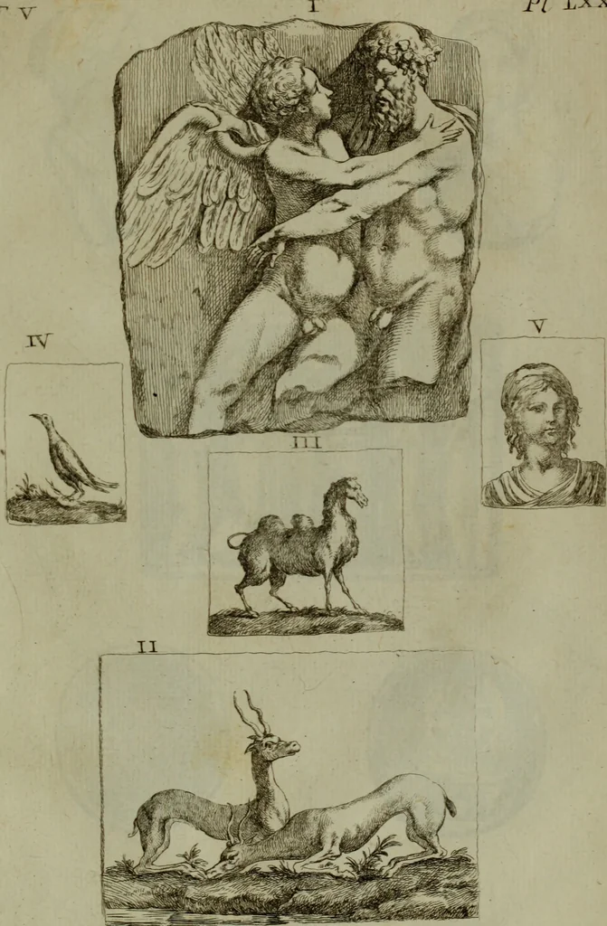 An illustration from Recueil d'antiquités égyptiennes, étrusques, greques et romaines, 1752, leaf 438