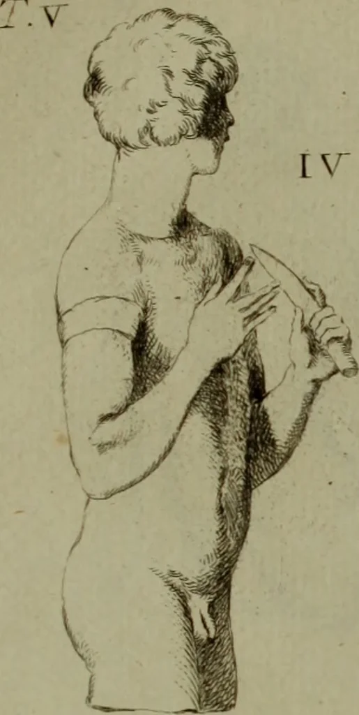 An illustration from Recueil d'antiquités égyptiennes, étrusques, greques et romaines, 1752, leaf 456