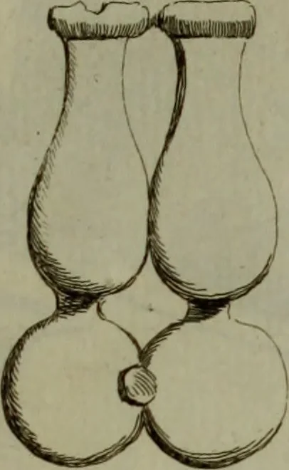 An illustration from Recueil d'antiquités égyptiennes, étrusques, greques et romaines, 1752, leaf 486