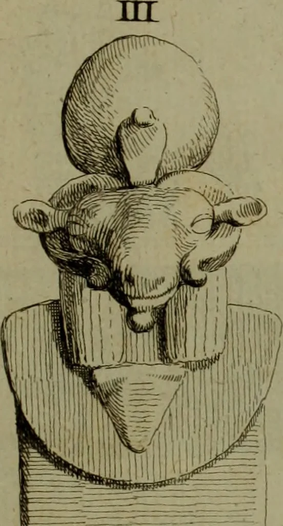 An illustration from Recueil d'antiquités égyptiennes, étrusques, greques et romaines, 1752, leaf 158