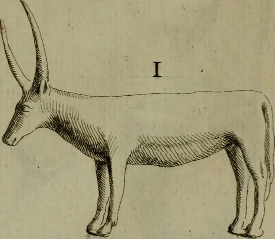 An illustration from Recueil d'antiquités égyptiennes, étrusques, greques et romaines, 1752, leaf 214