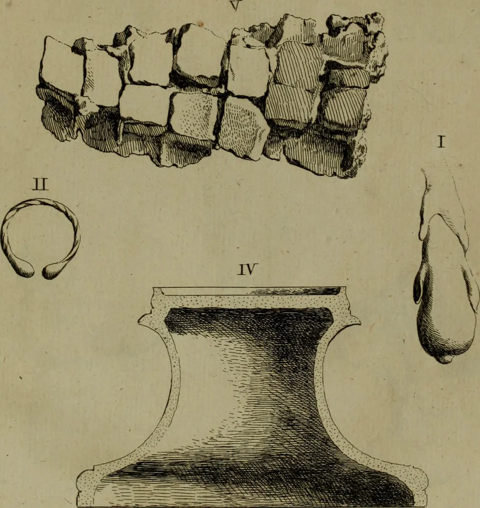 An illustration from Recueil d'antiquités égyptiennes, étrusques, greques et romaines, 1752, leaf 516