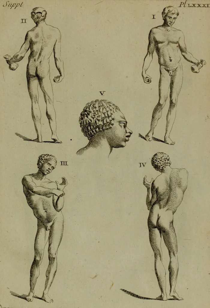 An illustration from Recueil d'antiquités égyptiennes, étrusques, greques et romaines, 1752, leaf 526