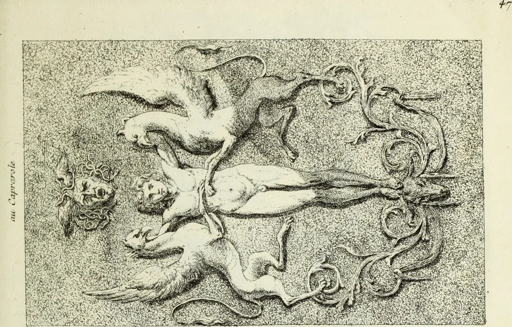 An illustration from Recueil d'antiquités romaines, ou, Voyage d'Italie : composé de 60 planches : dans lequel on trouve divers vases, autels, trepieds, arabesques et autres sujets gravés d'après les dessins que differens artistes ont fait pendant leur séjour en Italie, lesquels jusqu'à présent n'ont point encore été gravés, 1771, leaf 98