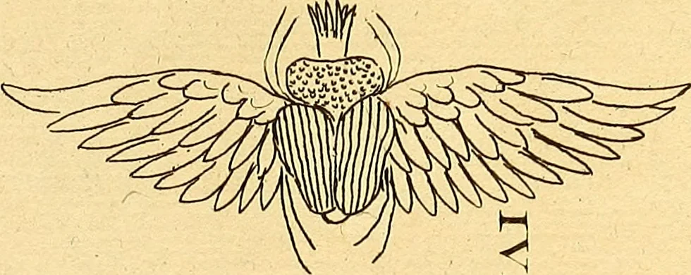 An illustration from Recueil d'antiquités égyptiennes, étrusques, greques et romaines, 1752, leaf 138