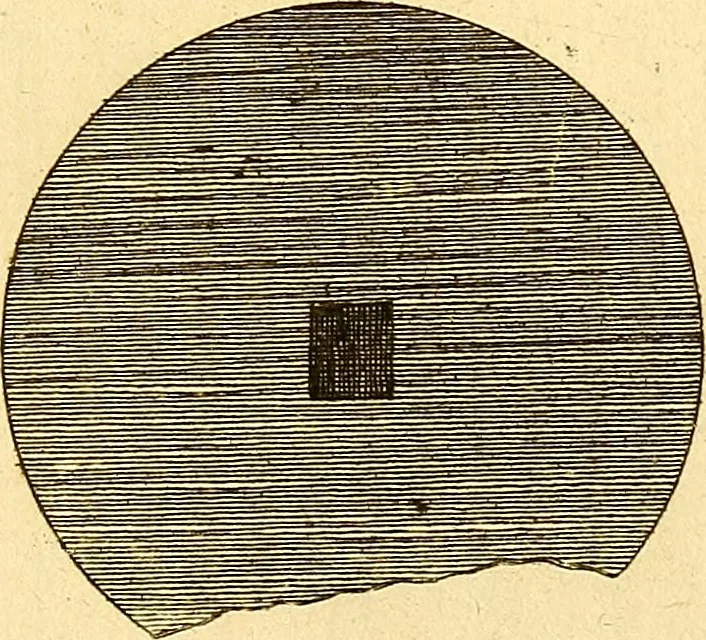An illustration from Recueil d'antiquités égyptiennes, étrusques, greques et romaines, 1752, leaf 152