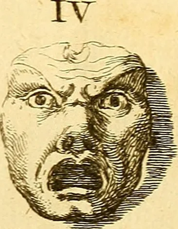 An illustration from Recueil d'antiquités égyptiennes, étrusques, greques et romaines, 1752, leaf 306