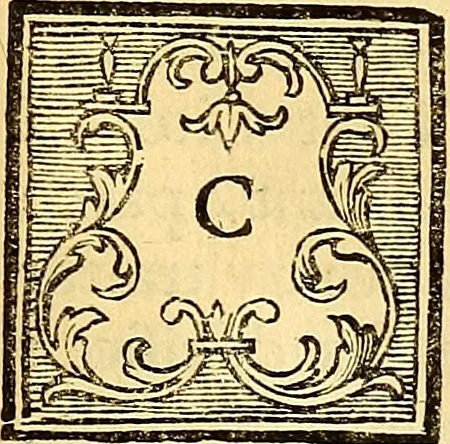 An illustration from Recueil d'antiquités égyptiennes, étrusques, greques et romaines, 1752, leaf 314