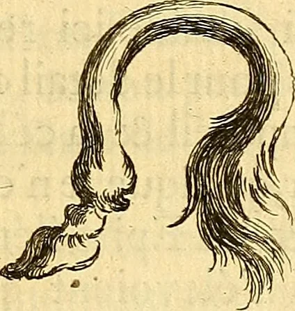 An illustration from Recueil d'antiquités égyptiennes, étrusques, greques et romaines, 1752, leaf 34