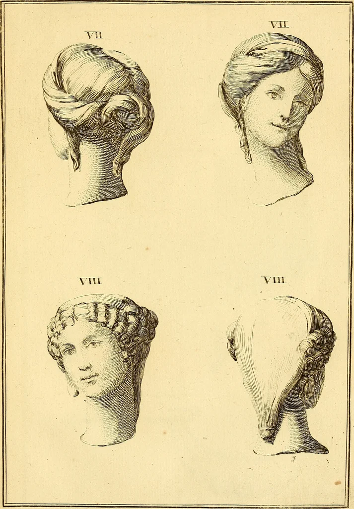 An illustration from Recueil d'antiquités égyptiennes, étrusques, greques et romaines, 1752, leaf 508