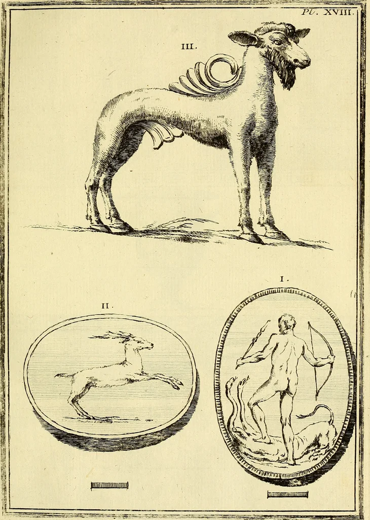 An illustration from Recueil d'antiquités égyptiennes, étrusques, greques et romaines, 1752, leaf 156