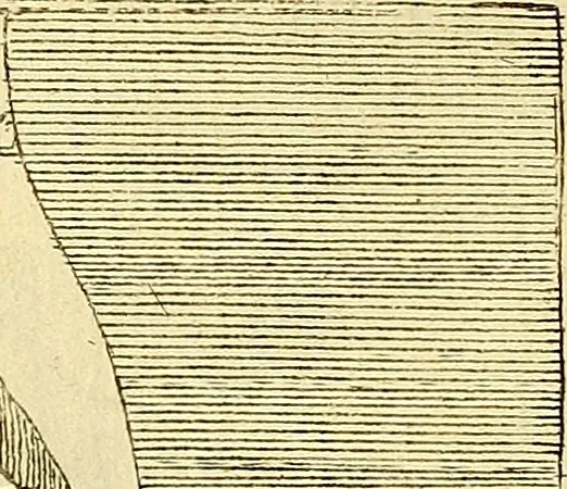 An illustration from Recueil d'antiquités égyptiennes, étrusques, greques et romaines, 1752, leaf 162