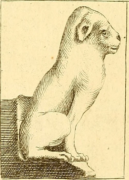 An illustration from Recueil d'antiquités égyptiennes, étrusques, greques et romaines, 1752, leaf 17
