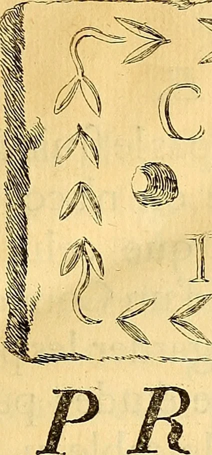 An illustration from Recueil d'antiquités égyptiennes, étrusques, greques et romaines, 1752, leaf 12