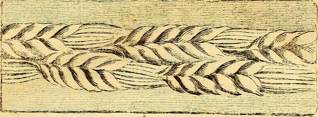 An illustration from Recueil d'antiquités égyptiennes, étrusques, greques et romaines, 1752, leaf 278