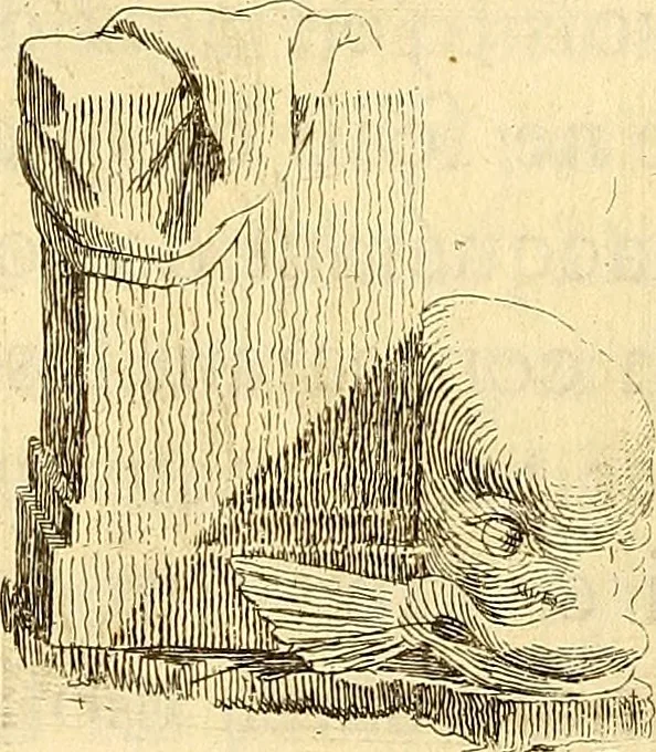 An illustration from Recueil d'antiquités égyptiennes, étrusques, greques et romaines, 1752, leaf 35