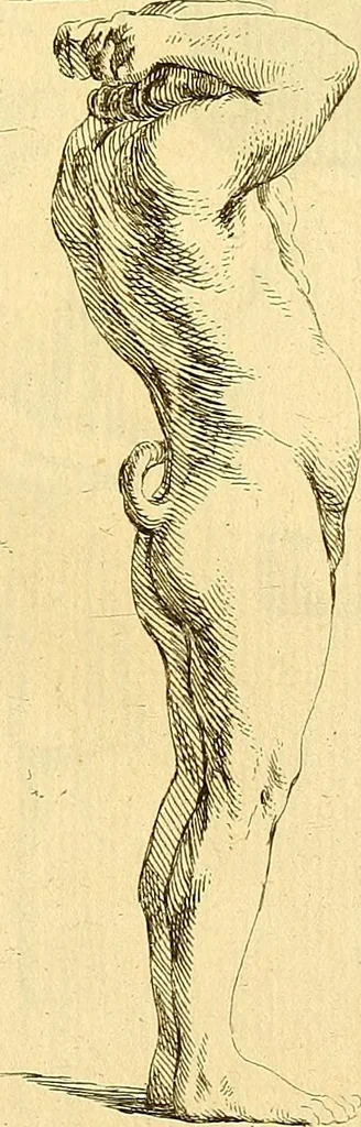 An illustration from Recueil d'antiquités égyptiennes, étrusques, greques et romaines, 1752, leaf 458