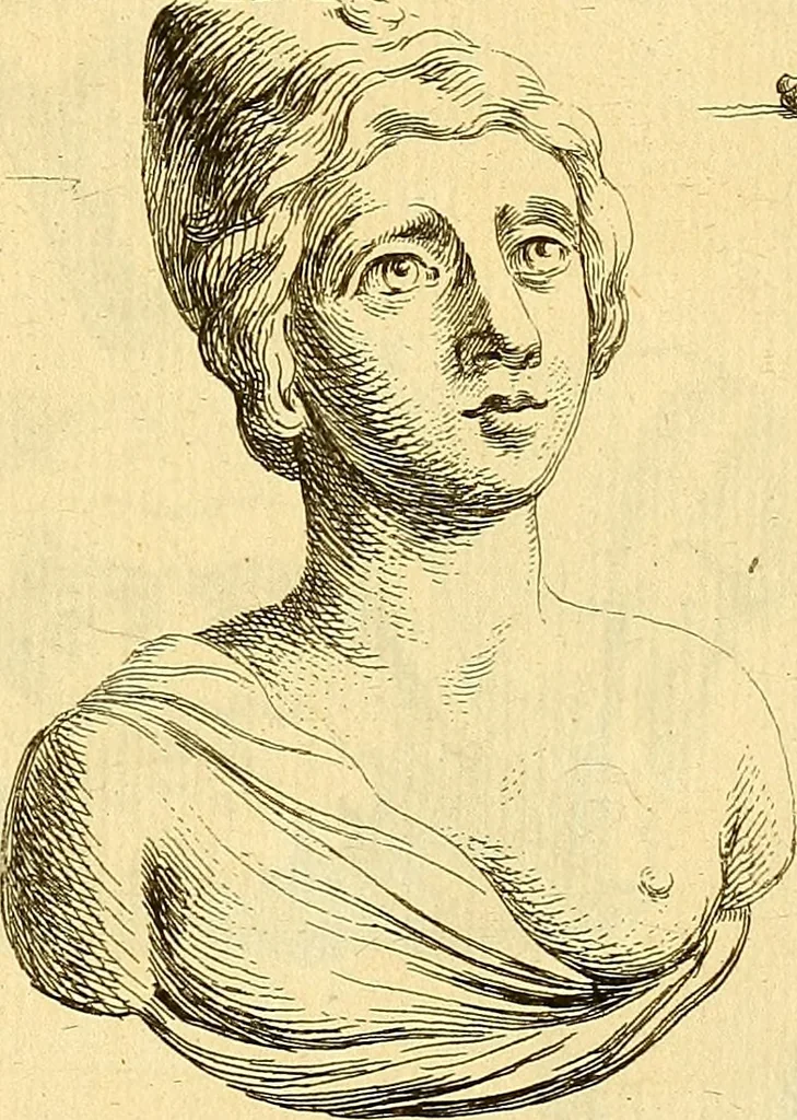 An illustration from Recueil d'antiquités égyptiennes, étrusques, greques et romaines, 1752, leaf 458