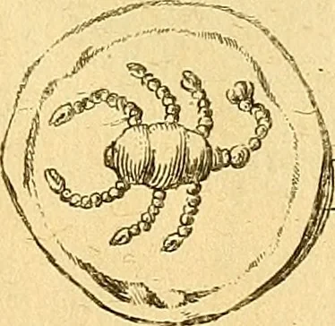 An illustration from Recueil d'antiquités égyptiennes, étrusques, greques et romaines, 1752, leaf 522