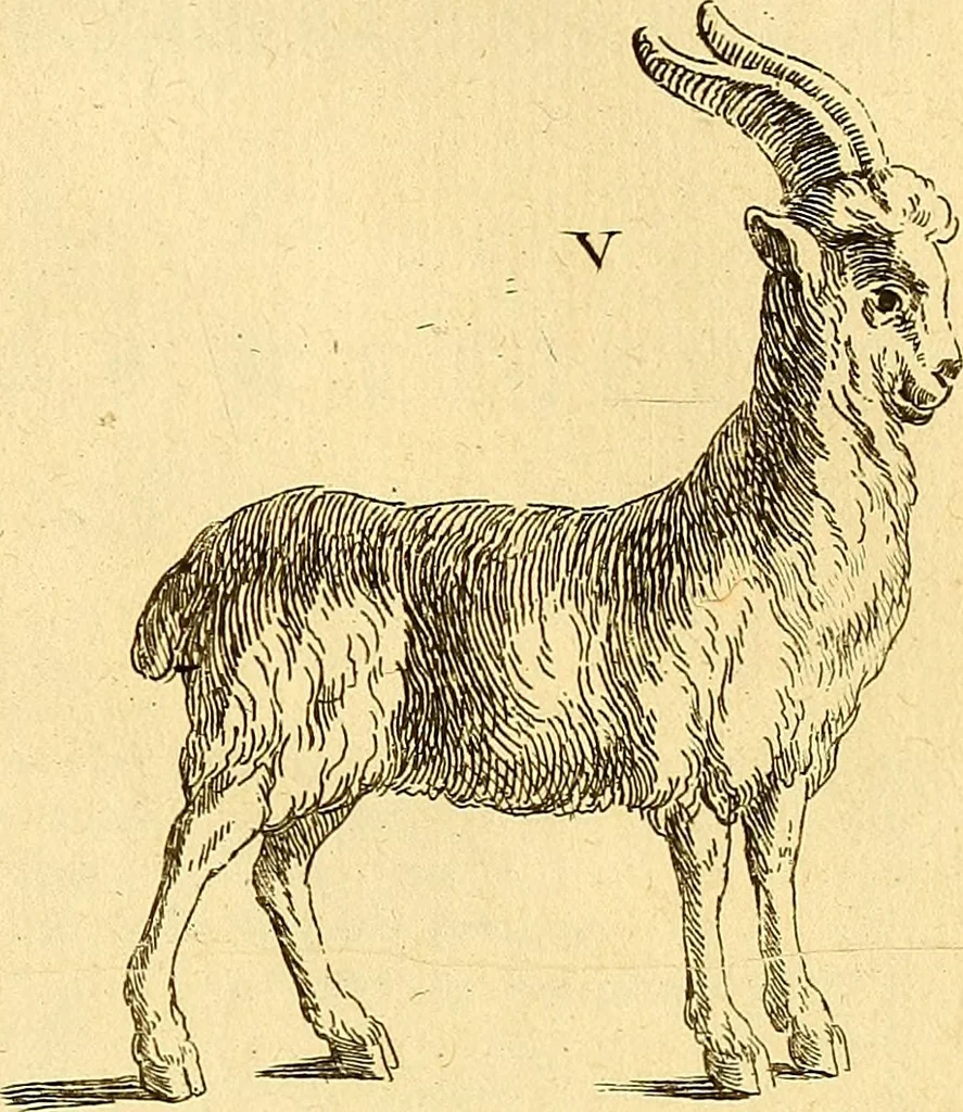 An illustration from Recueil d'antiquités égyptiennes, étrusques, greques et romaines, 1752, leaf 728