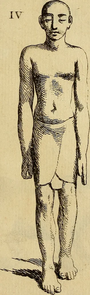 An illustration from Recueil d'antiquités égyptiennes, étrusques, greques et romaines, 1752, leaf 114