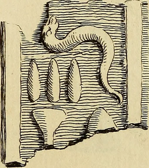 An illustration from Recueil d'antiquités égyptiennes, étrusques, greques et romaines, 1752, leaf 116