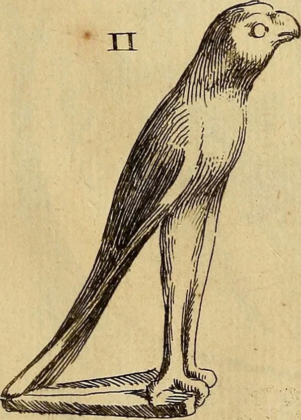 An illustration from Recueil d'antiquités égyptiennes, étrusques, greques et romaines, 1752, leaf 134