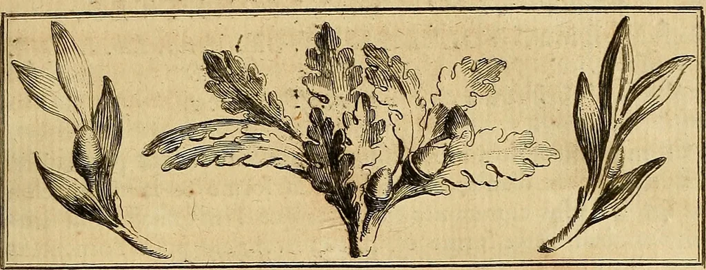 An illustration from Recueil d'antiquités égyptiennes, étrusques, greques et romaines, 1752, leaf 20