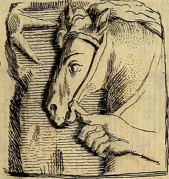 An illustration from Recueil d'antiquités égyptiennes, étrusques, greques et romaines, 1752, leaf 296
