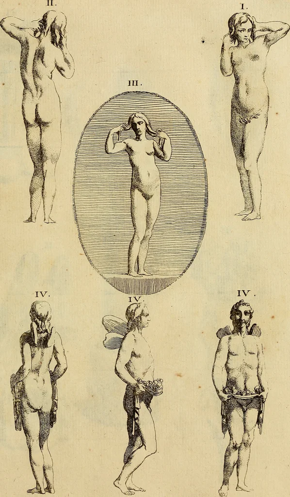 An illustration from Recueil d'antiquités égyptiennes, étrusques, greques et romaines, 1752, leaf 500