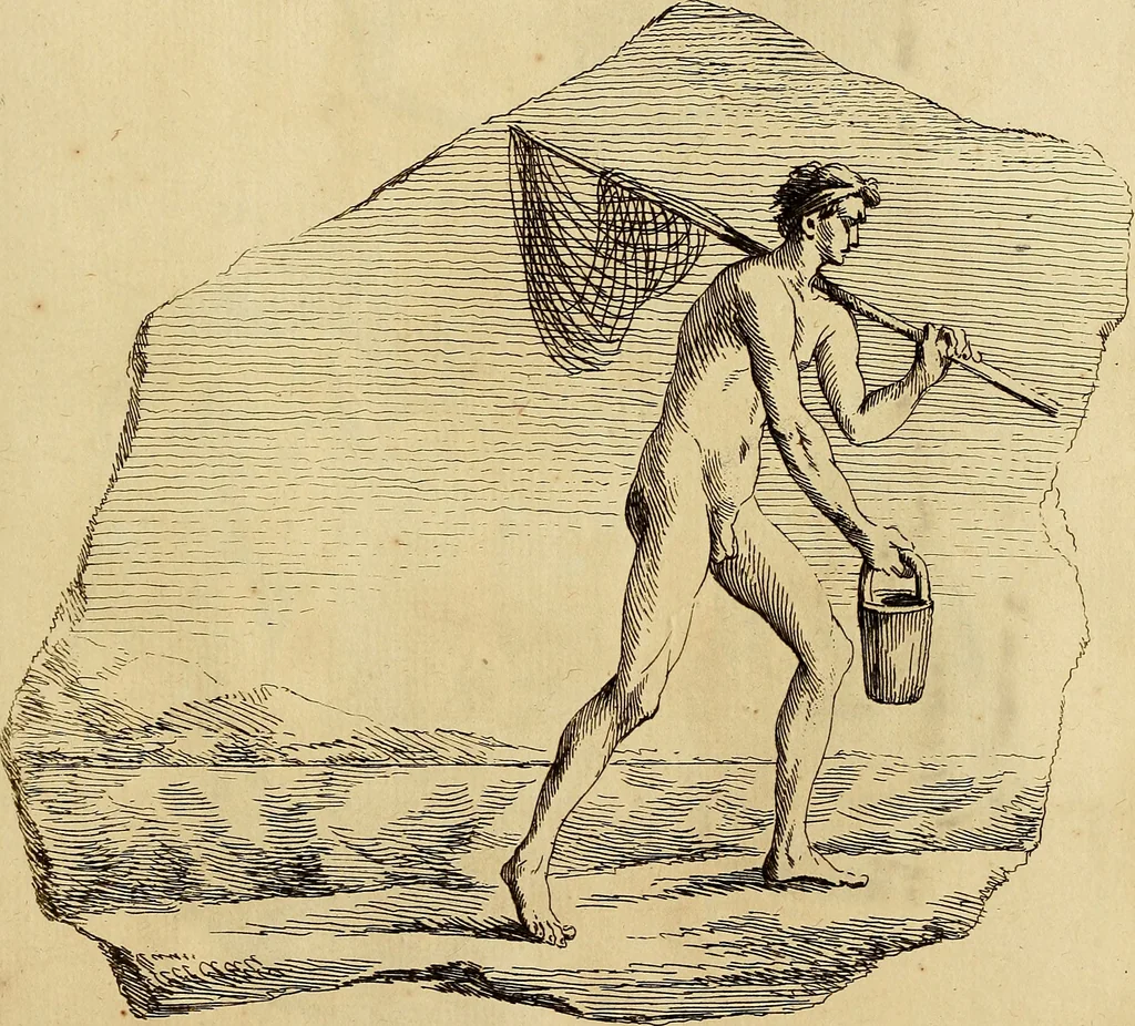An illustration from Recueil d'antiquités égyptiennes, étrusques, greques et romaines, 1752, leaf 520