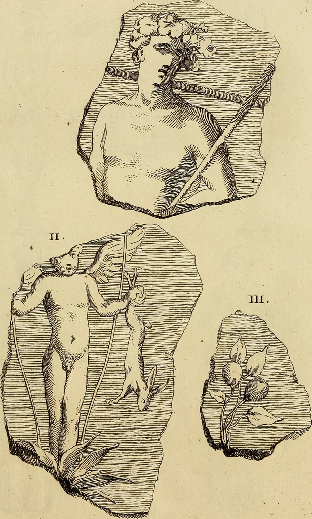 An illustration from Recueil d'antiquités égyptiennes, étrusques, greques et romaines, 1752, leaf 522