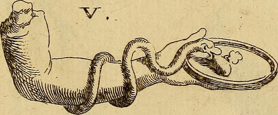 An illustration from Recueil d'antiquités égyptiennes, étrusques, greques et romaines, 1752, leaf 544