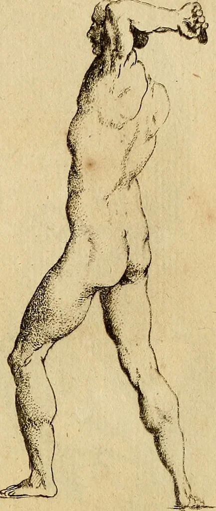 An illustration from Recueil d'antiquités égyptiennes, étrusques, greques et romaines, 1752, leaf 546