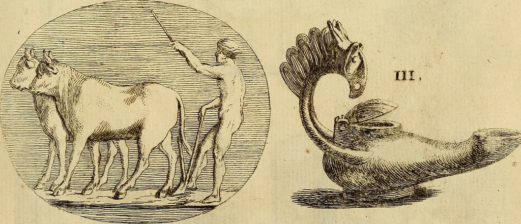 An illustration from Recueil d'antiquités égyptiennes, étrusques, greques et romaines, 1752, leaf 556