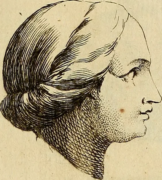 An illustration from Recueil d'antiquités égyptiennes, étrusques, greques et romaines, 1752, leaf 562
