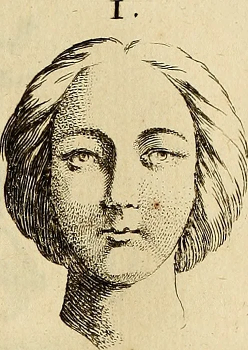 An illustration from Recueil d'antiquités égyptiennes, étrusques, greques et romaines, 1752, leaf 562
