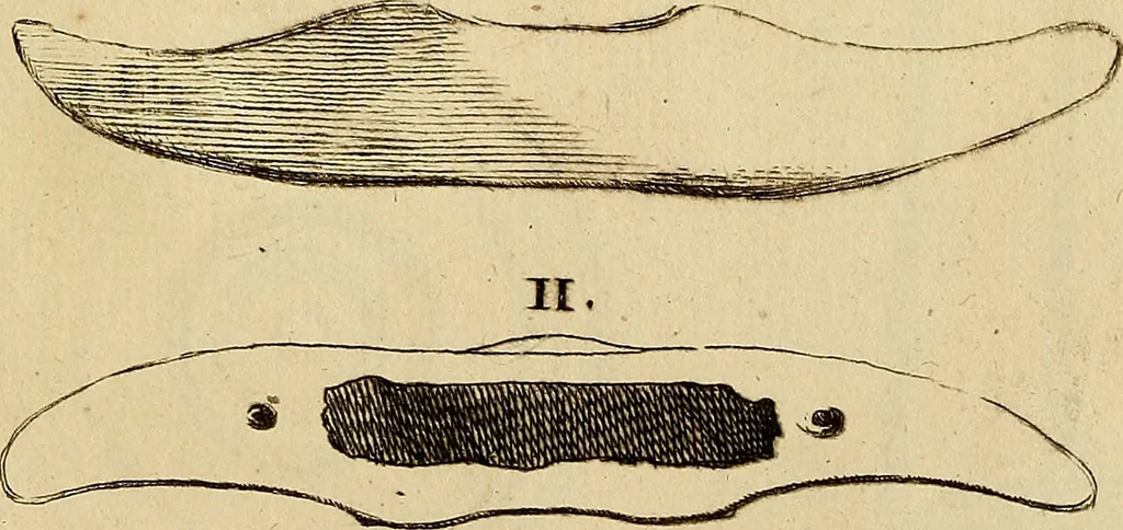 An illustration from Recueil d'antiquités égyptiennes, étrusques, greques et romaines, 1752, leaf 566