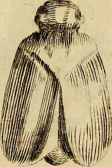 An illustration from Recueil d'antiquités égyptiennes, étrusques, greques et romaines, 1752, leaf 578