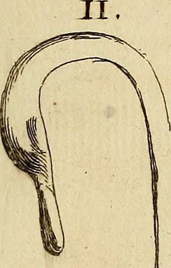 An illustration from Recueil d'antiquités égyptiennes, étrusques, greques et romaines, 1752, leaf 584