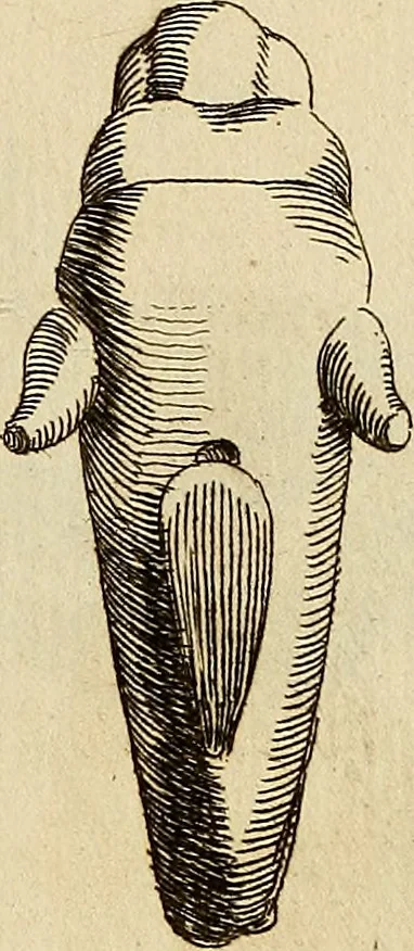 An illustration from Recueil d'antiquités égyptiennes, étrusques, greques et romaines, 1752, leaf 584