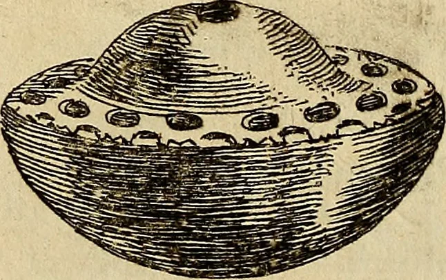 An illustration from Recueil d'antiquités égyptiennes, étrusques, greques et romaines, 1752, leaf 584