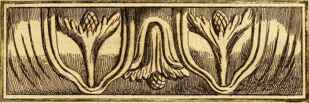 An illustration from Recueil d'antiquités égyptiennes, étrusques, greques et romaines, 1752, leaf 12