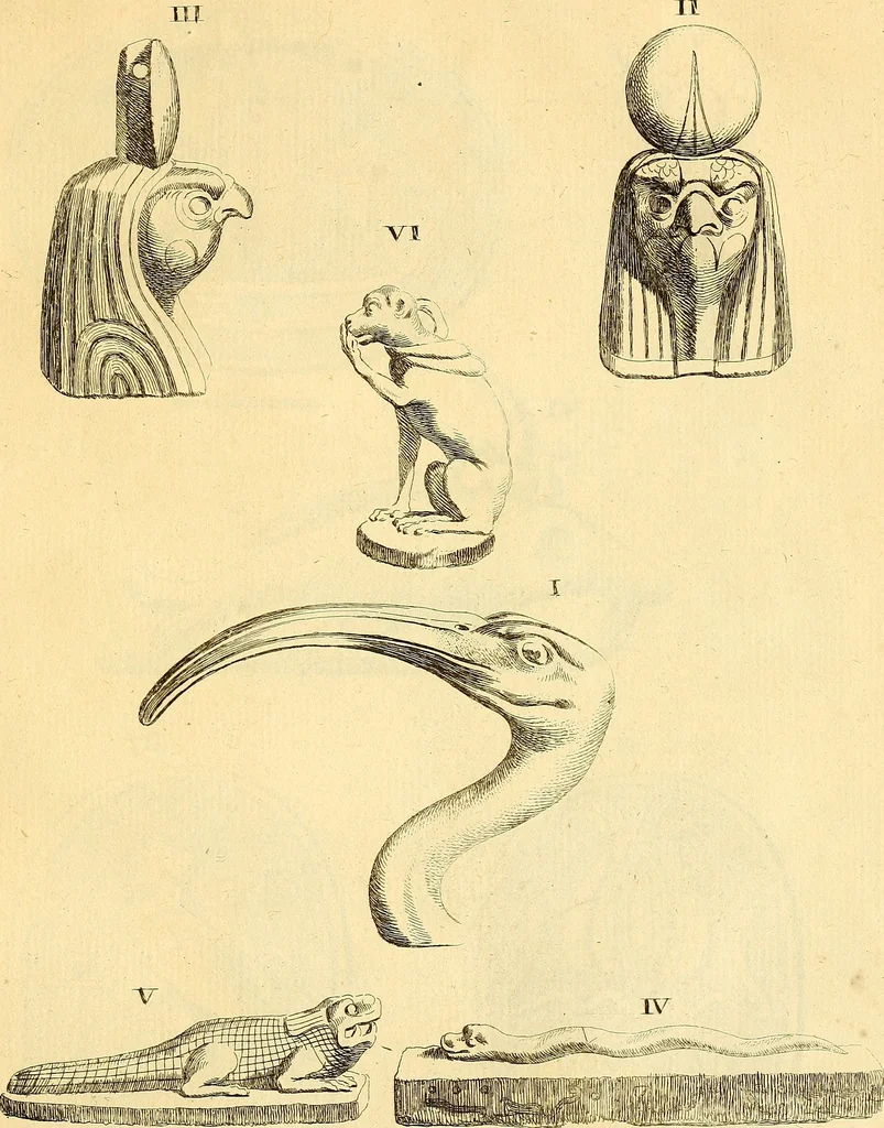 An illustration from Recueil d'antiquités égyptiennes, étrusques, greques et romaines, 1752, leaf 144