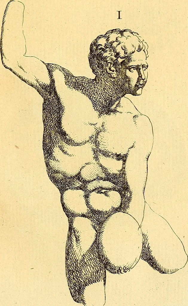 An illustration from Recueil d'antiquités égyptiennes, étrusques, greques et romaines, 1752, leaf 312