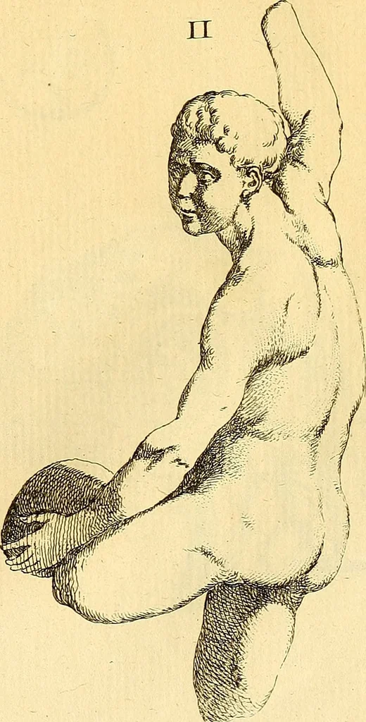 An illustration from Recueil d'antiquités égyptiennes, étrusques, greques et romaines, 1752, leaf 312